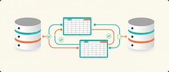 Data Migration & Validation