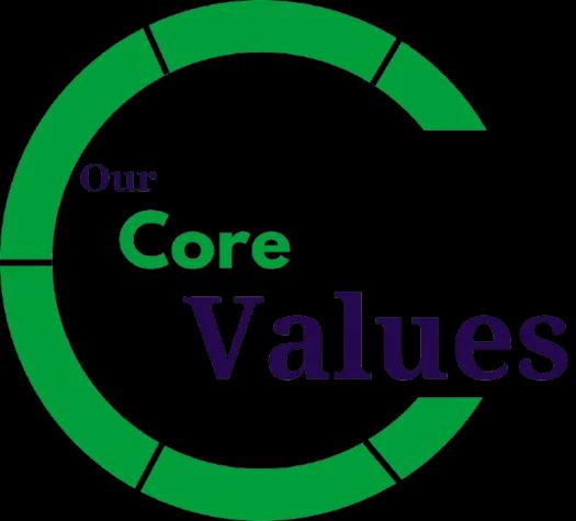 WebGuruz Core Values